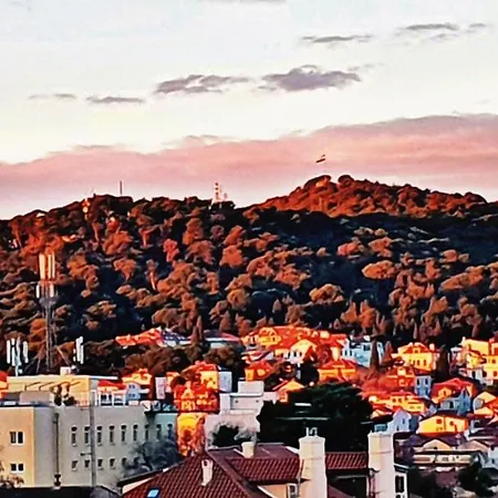 Live In * 斯普利特