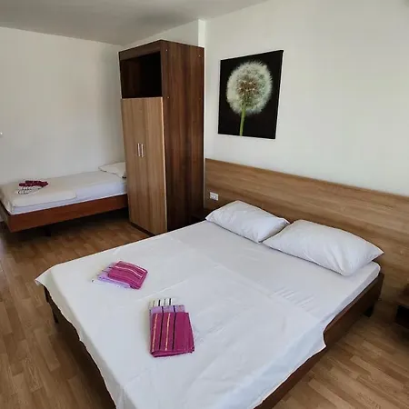 Live In * 斯普利特