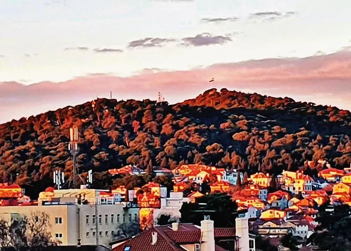 Live In * سبليت